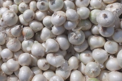 img-20180206-wa0006-3234135362-1584537968742